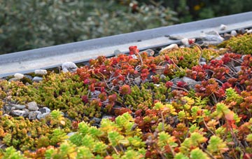 the cost of Thorpe Hamlet green roof installation