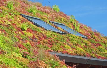 Thorpe Hamlet living roof systems
