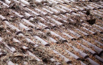 Thorpe Hamlet roof cleaning companies