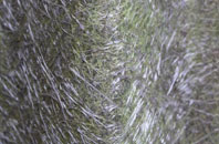 Thorpe Hamlet fibreglass roof work