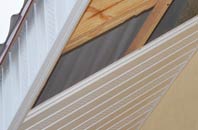 rated Thorpe Hamlet soffit repair companies